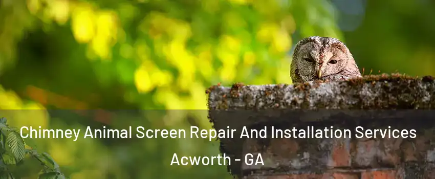  Chimney Animal Screen Repair And Installation Services Acworth - GA