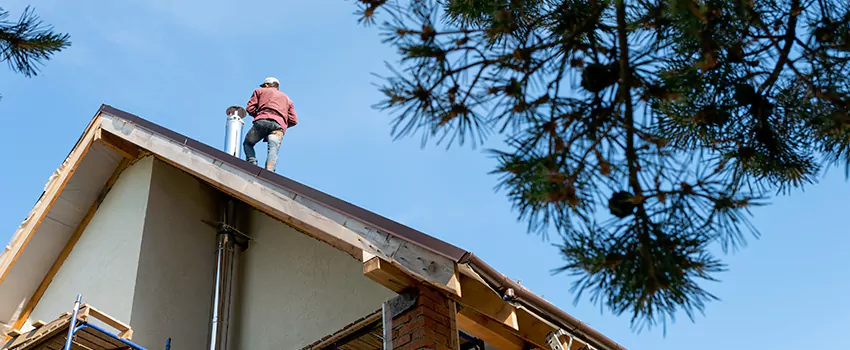 Birds Removal Contractors from Chimney in Acworth, GA